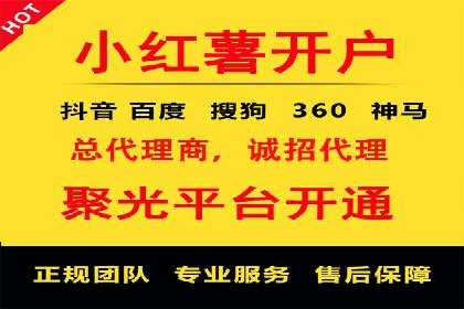 SEM代运营机构案例分析：优化策略与执行